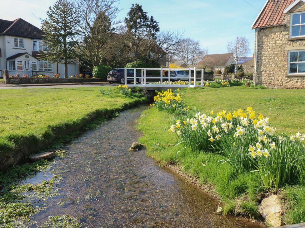 A stream with a bridge and flowers at The Cart House in Snape near Bedale
