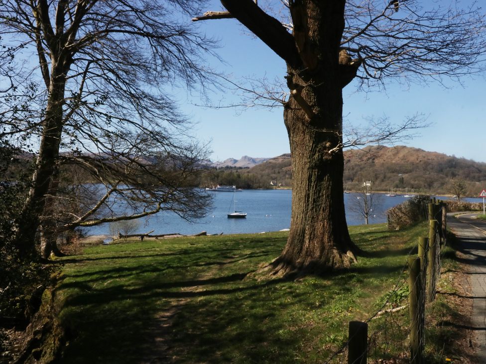 A view of a lake with a tree and a road at 5 Thornbarrow Road 
