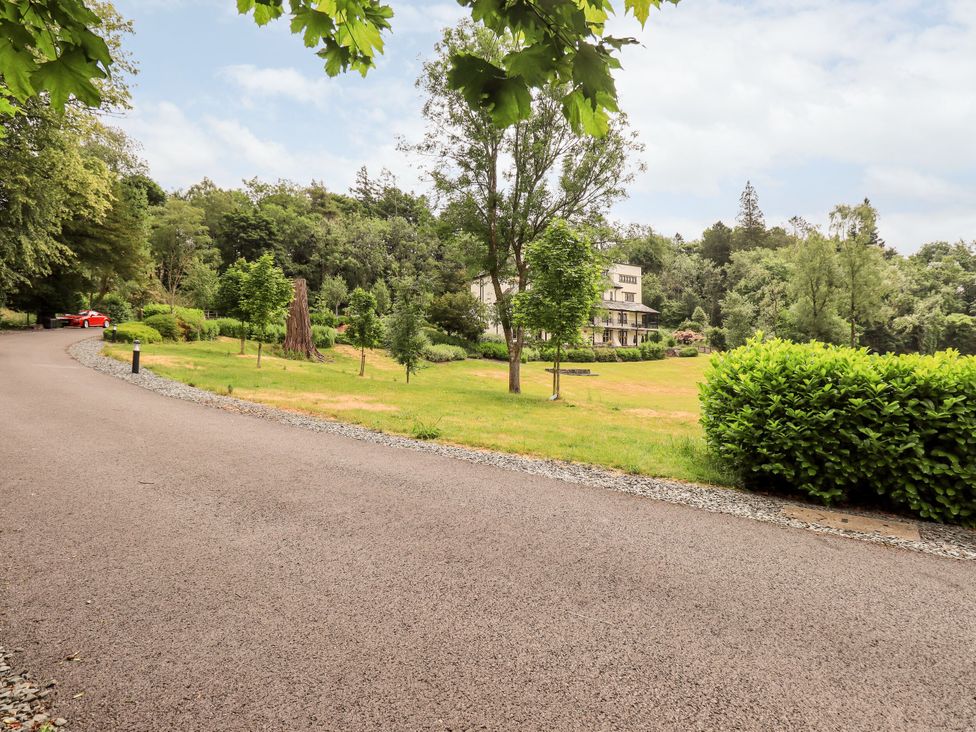 Deer Wood At Applethwaite Hall - Lake District - 1156634 - thumbnail photo 37