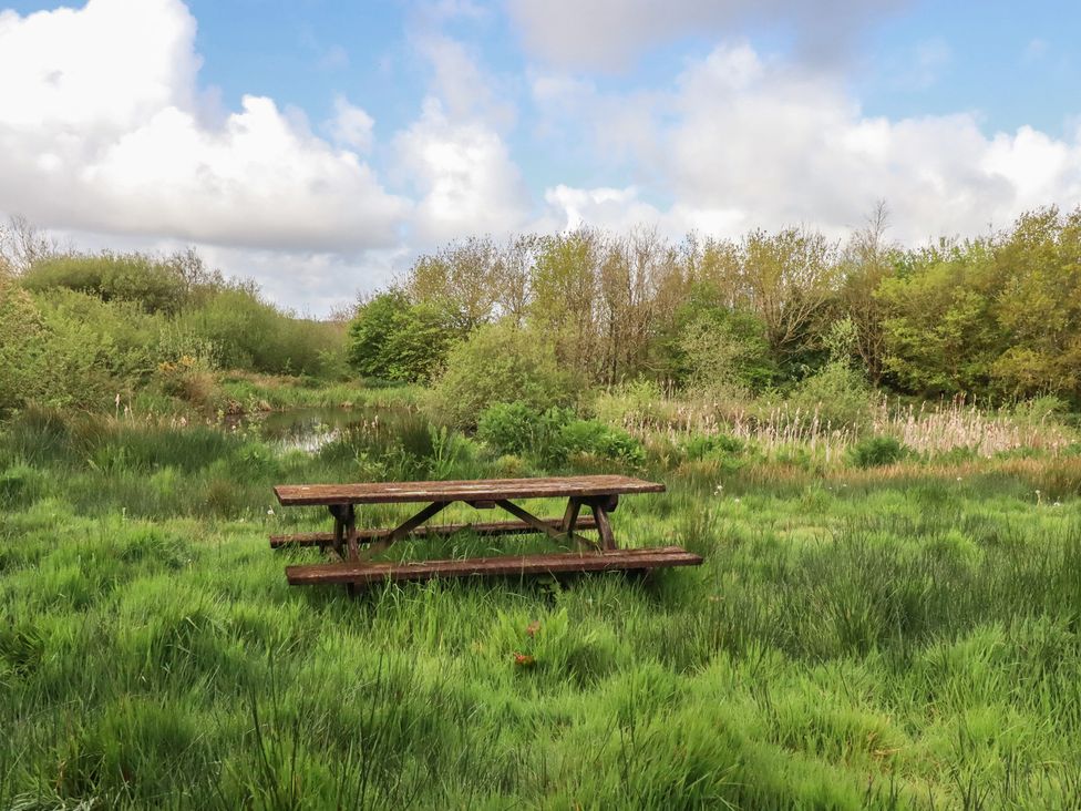 A picnic table near a pond surrounded by grass and trees at Lake View Kestle Mill near Quintrell Downs