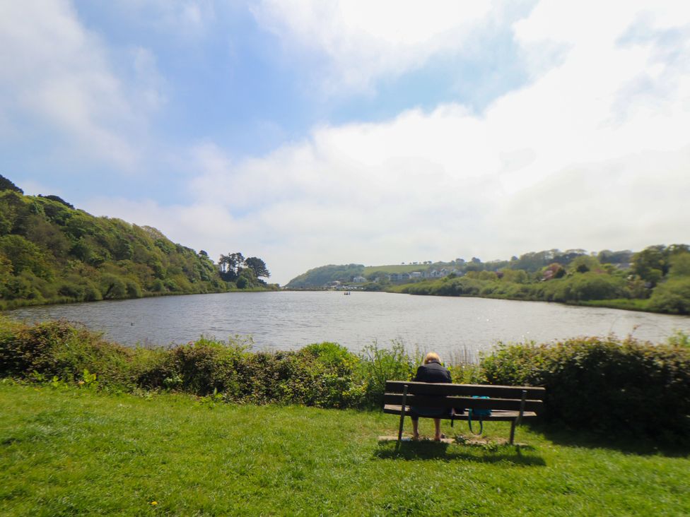 Lake View - Cornwall - 1156795 - thumbnail photo 36