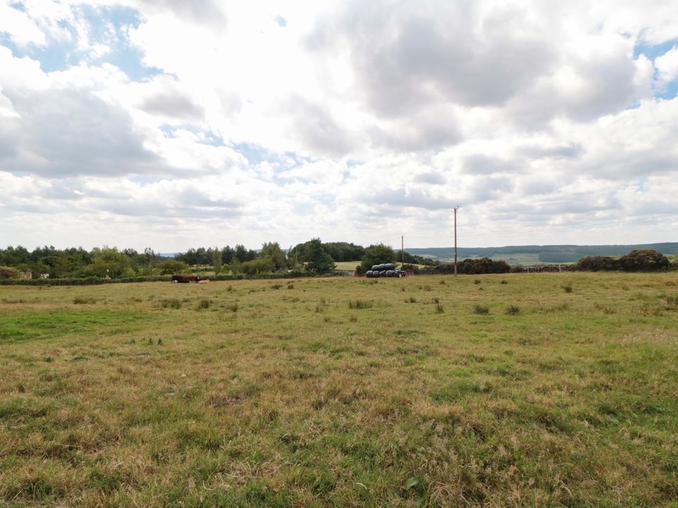 A field with cows and vehicles at Heron Nest in Cloughton near Scarborough