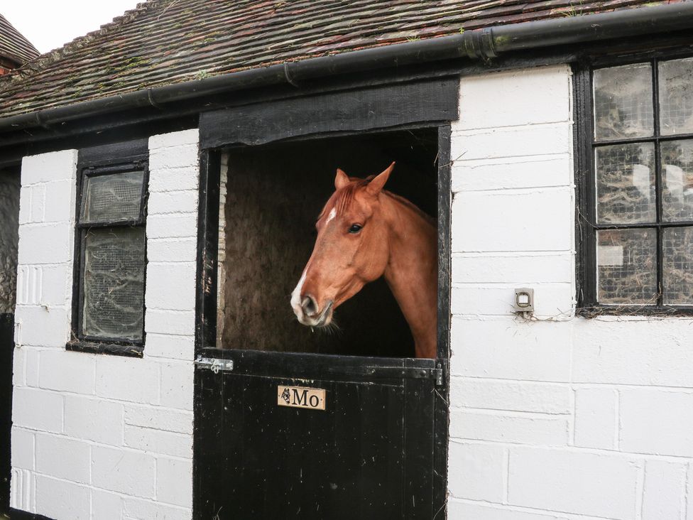 Calvin's Cottage - Kent & Sussex - 1157167 - thumbnail photo 24