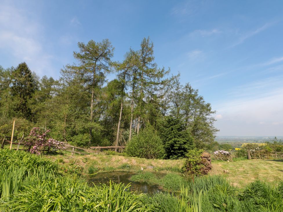 The Byre - North Yorkshire (incl. Whitby) - 1157229 - thumbnail photo 12