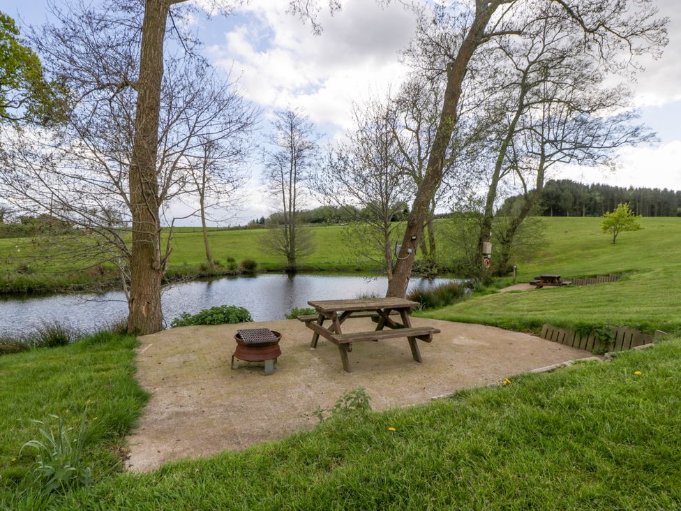 A picnic table next to a small pond with trees and grassy fields at Hollie in Raglan
