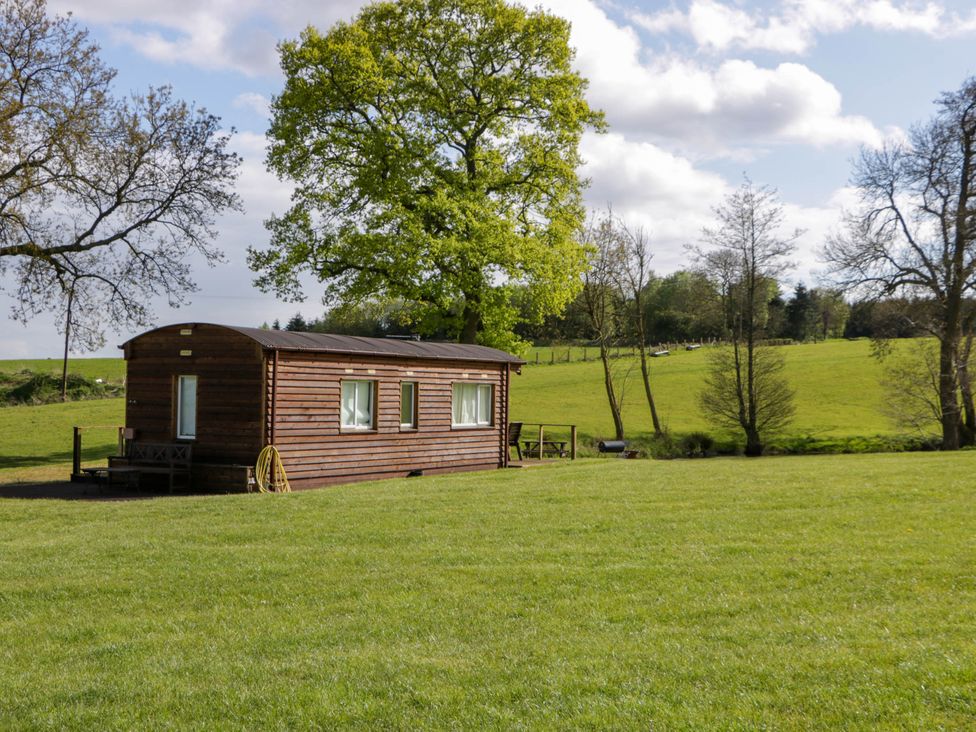 A wooden cabin with windows and a door on a grassy field with trees in the background at Hollie in Raglan