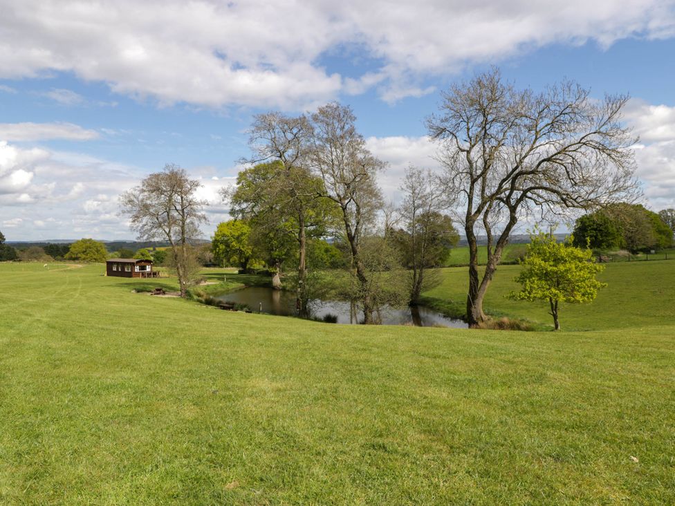 A grassy field with trees and a small pond near a wooden cabin at Hollie in Raglan