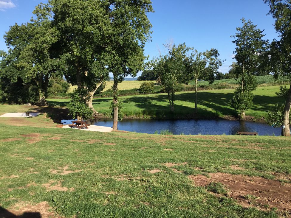 A grassy area with trees next to a small pond with a wooden picnic table and benches at Hollie in Raglan