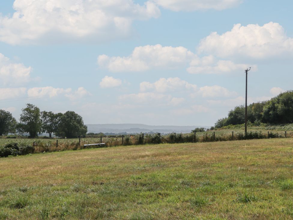An open field with trees and a power pole at Hollie in Raglan