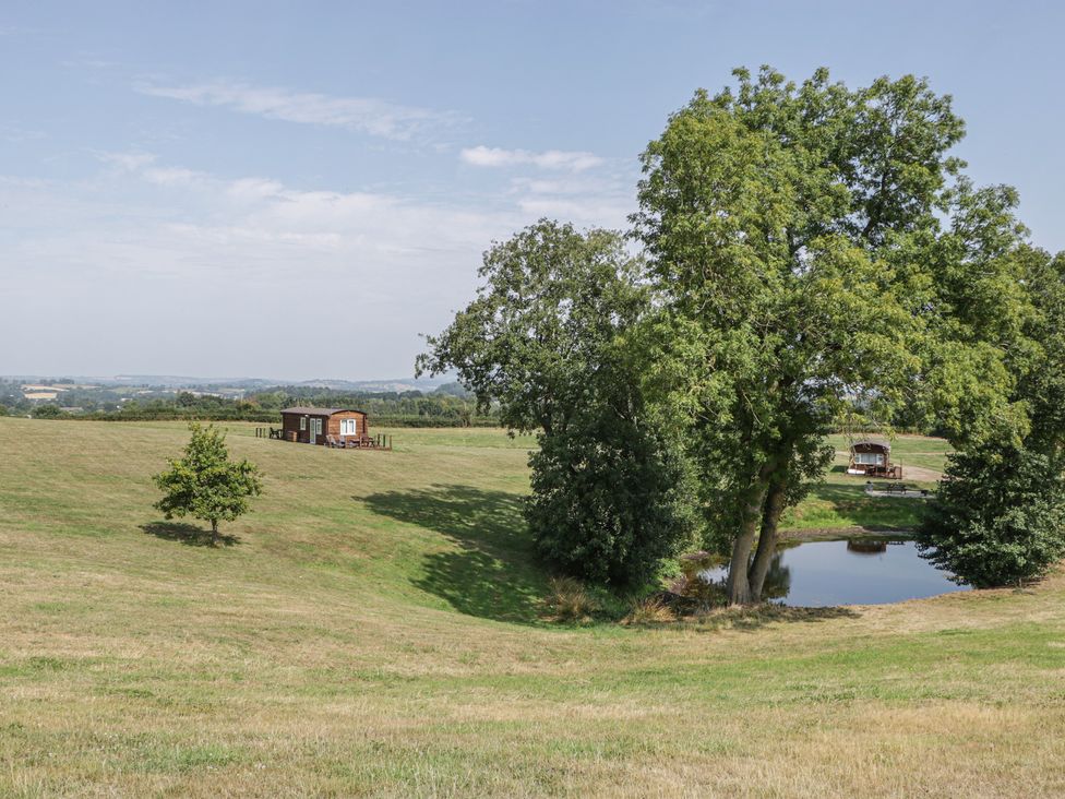 A landscape with a cabin near a pond at Hollie in Raglan
