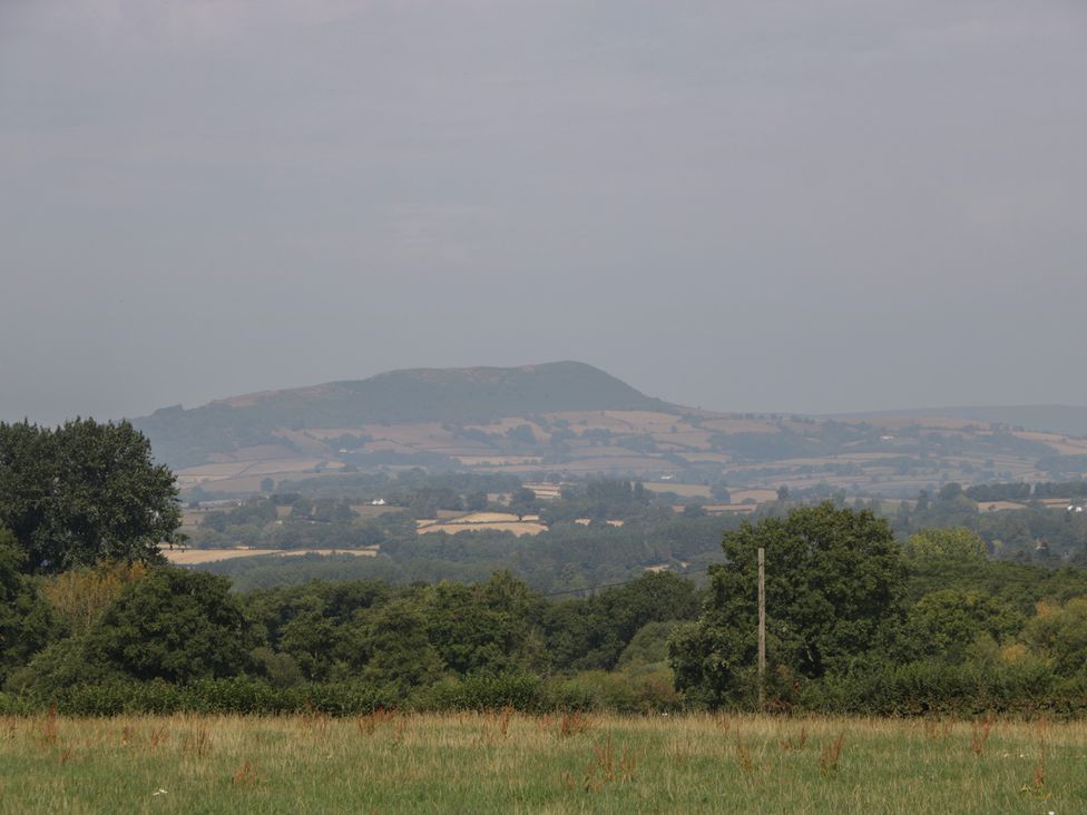 A landscape with hills and trees at Hollie in Raglan
