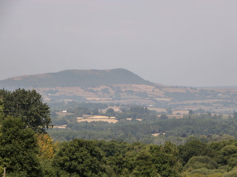 A view of hills and fields surrounded by trees at Hollie in Raglan