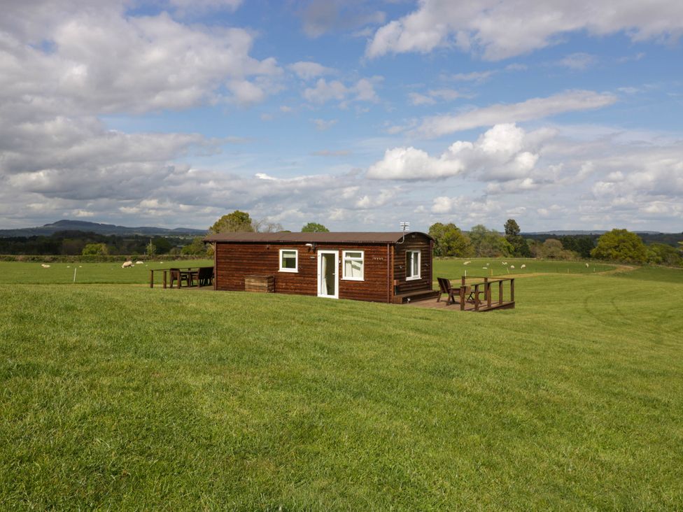 A wooden cabin with outdoor seating on a grassy field with sheep in the background at Poppy in Raglan