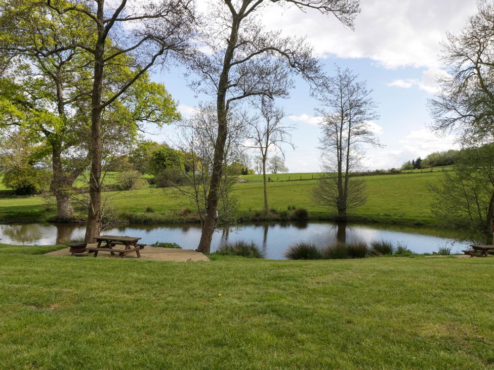 A grassy area with trees and a small pond with picnic tables near the water at Poppy in Raglan