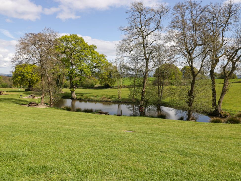 A grassy area with a pond surrounded by trees and picnic tables at Poppy in Raglan