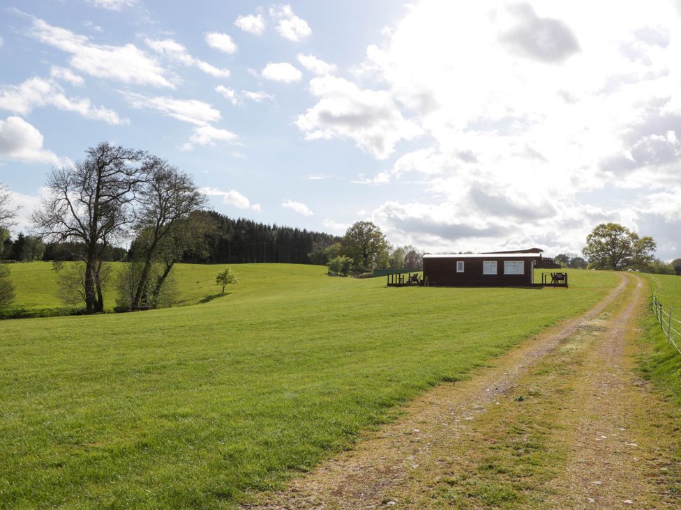 A grassy field with a dirt path leading to a small cabin and trees in the background at Poppy in Raglan