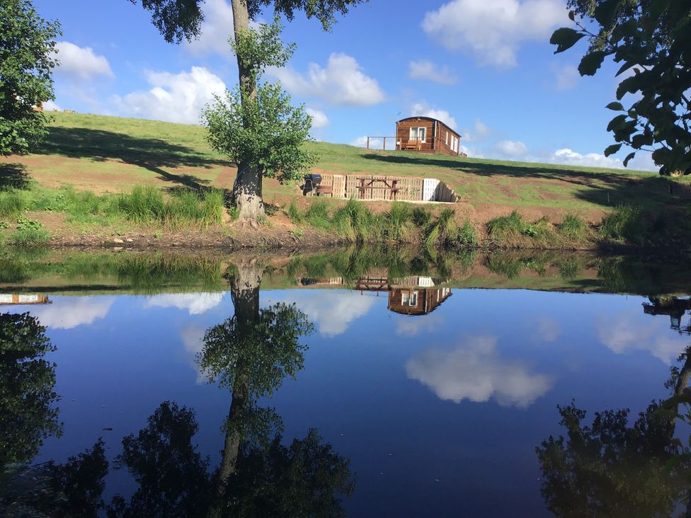 A grassy hillside with a wooden cabin a picnic table and barbecue near a pond reflecting the sky at Poppy in Raglan