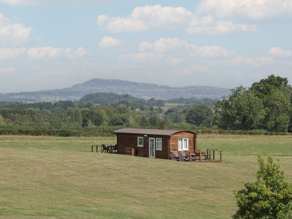 A wooden cabin with a deck and chairs surrounded by grass at Poppy in Raglan