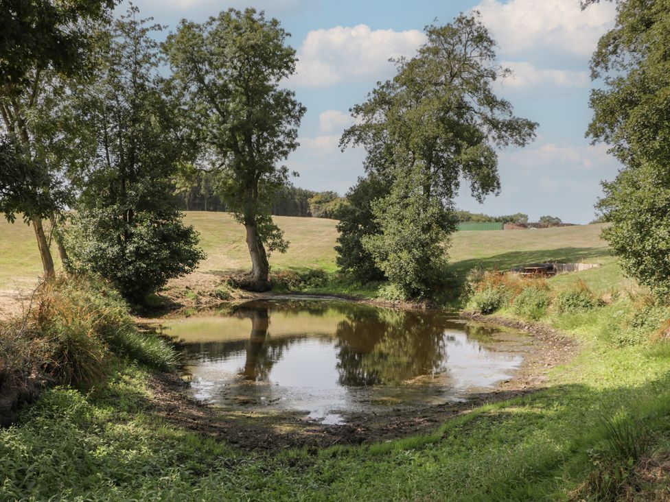 A pond surrounded by trees and grass at Poppy in Raglan