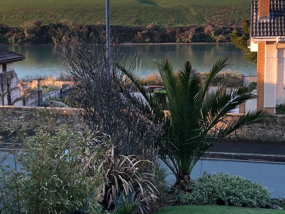 A view with palm tree and water body at Tidal View in Newquay