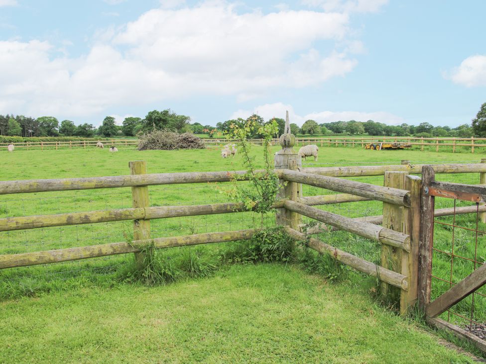 The Old Smithy - Peak District & Derbyshire - 1157503 - thumbnail photo 24