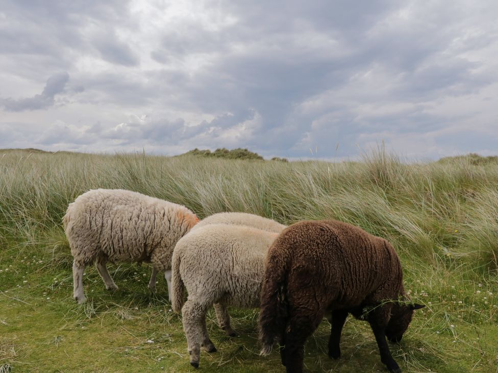 The Island's View - County Donegal - 1157714 - thumbnail photo 20