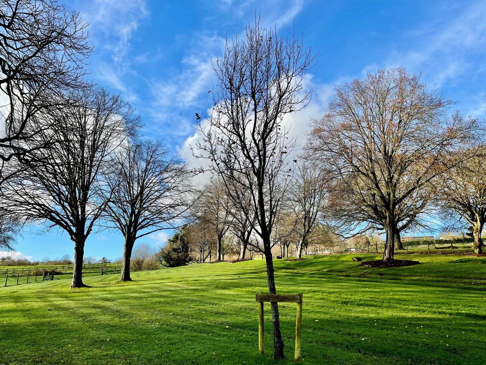 Deer Park 9 - Copse Corner - Devon - 1157850 - thumbnail photo 46