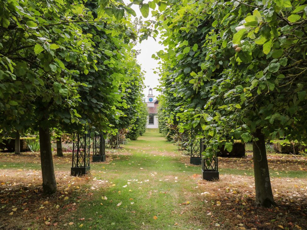 A garden pathway lined with trees leading to a building at Clock Tower in Stowmarket