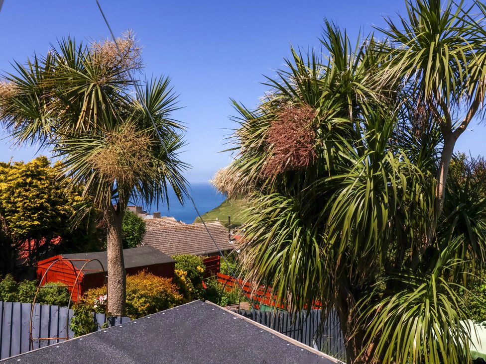 A garden with palm trees sheds and a view of the sea at Combe View in Ilfracombe