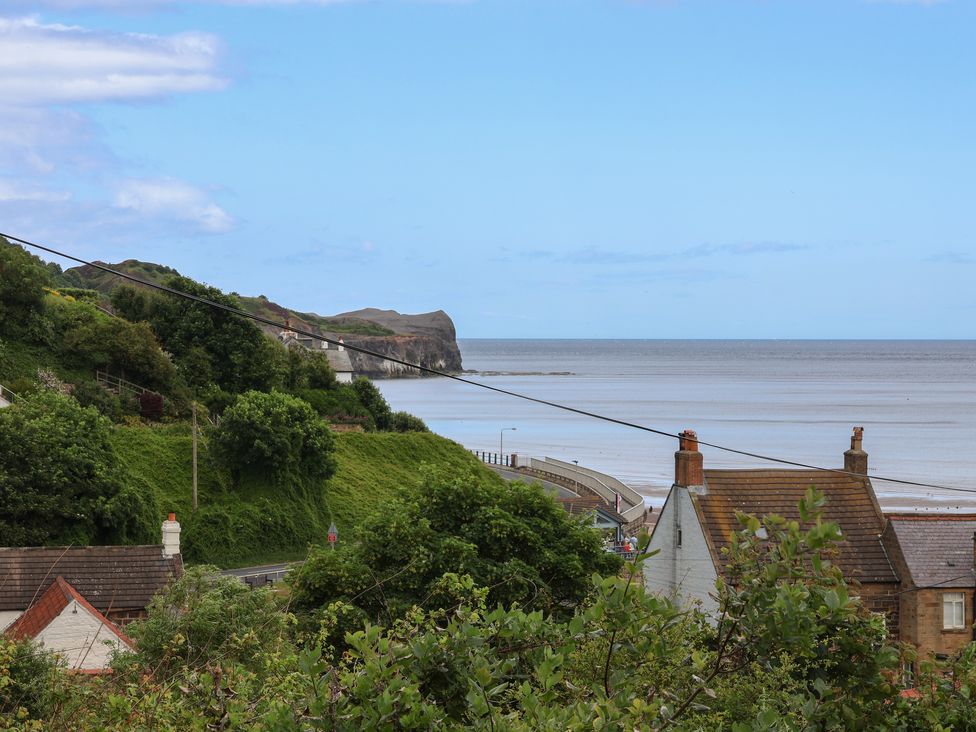 Wagtails - North Yorkshire (incl. Whitby) - 1158001 - thumbnail photo 43