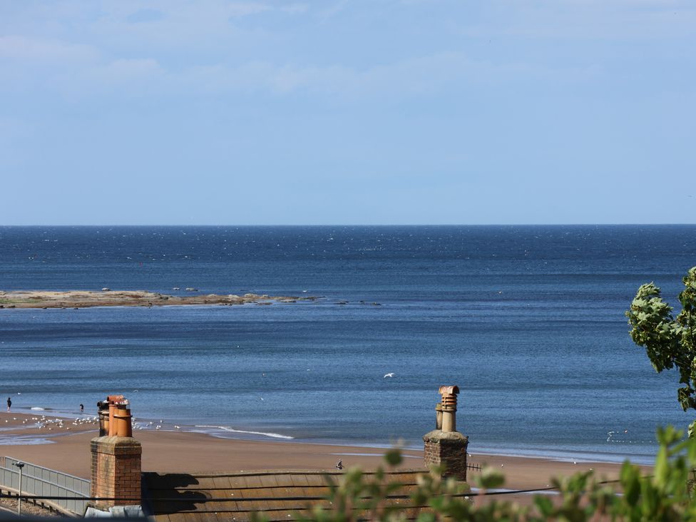 Wagtails - North Yorkshire (incl. Whitby) - 1158001 - thumbnail photo 2