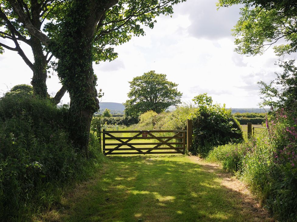 Hornbeam - Cornwall - 1158013 - thumbnail photo 31