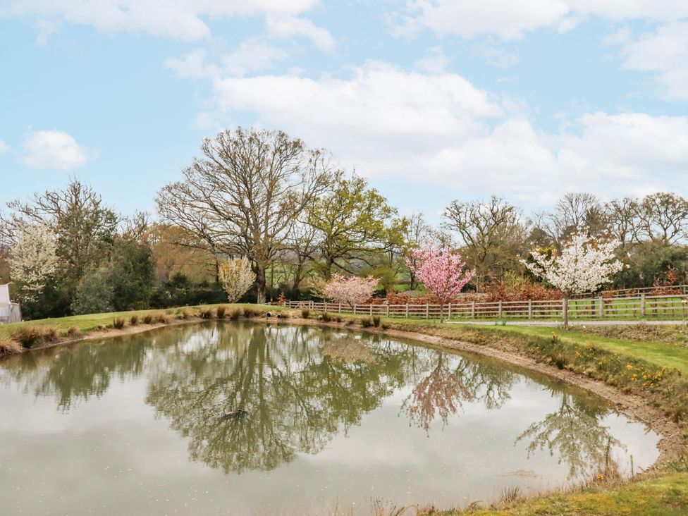 A pond surrounded by trees and grass at Lower Moorwood in Moorwood near Bovey Tracey