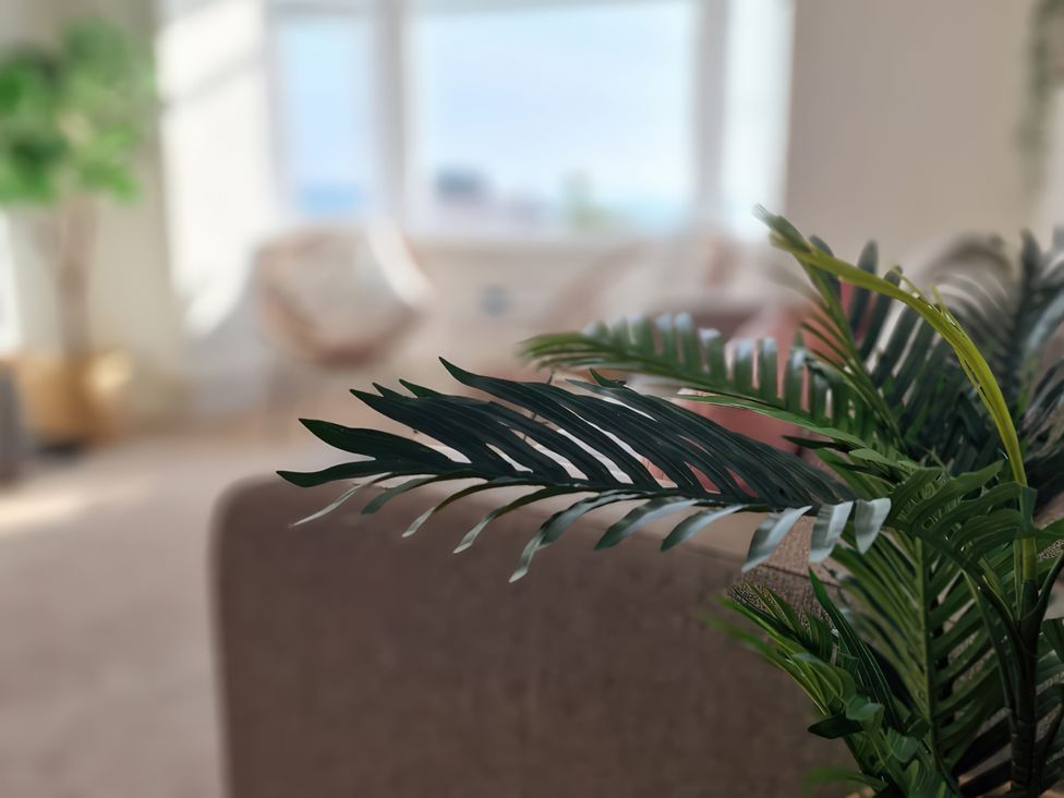 A living room with a plant and furniture at Plas Darien Apartment 7 in Trearddur Bay