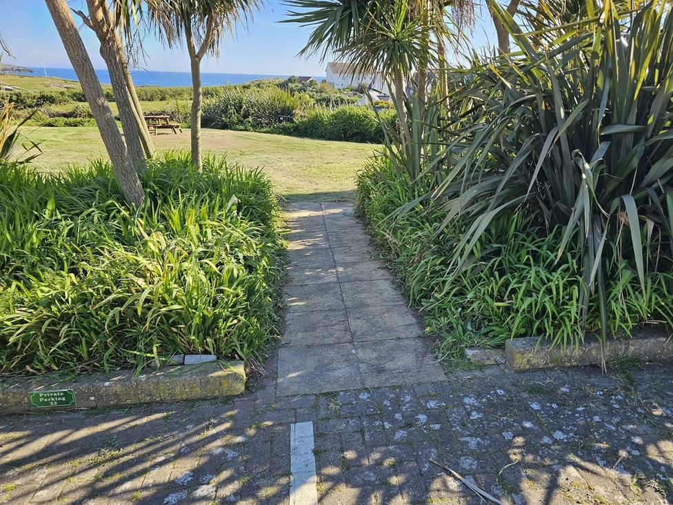 A pathway leading through greenery towards the sea at No.7 Plas Darien Trearddur Bay