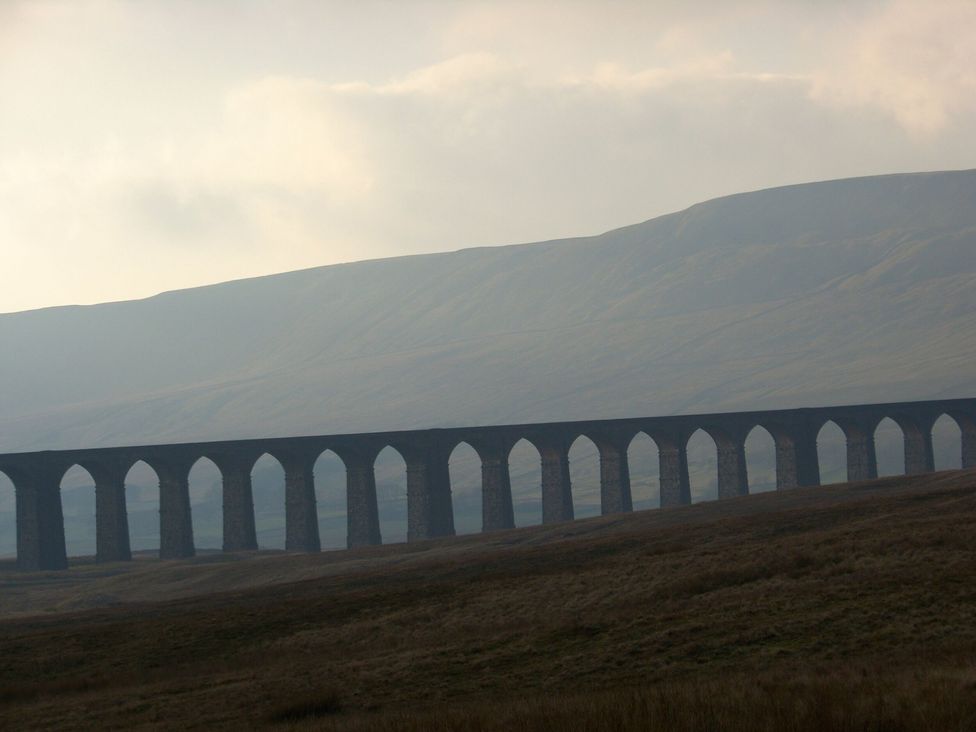 Barn Owl - Yorkshire Dales - 1158241 - thumbnail photo 26