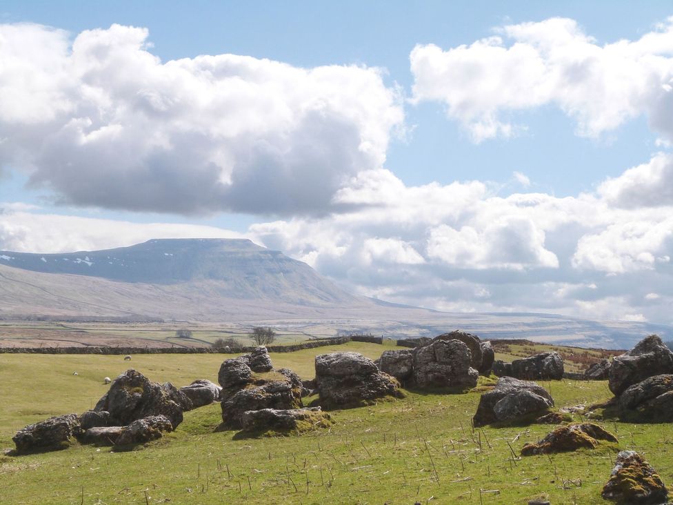 Curlew - Yorkshire Dales - 1158242 - thumbnail photo 20