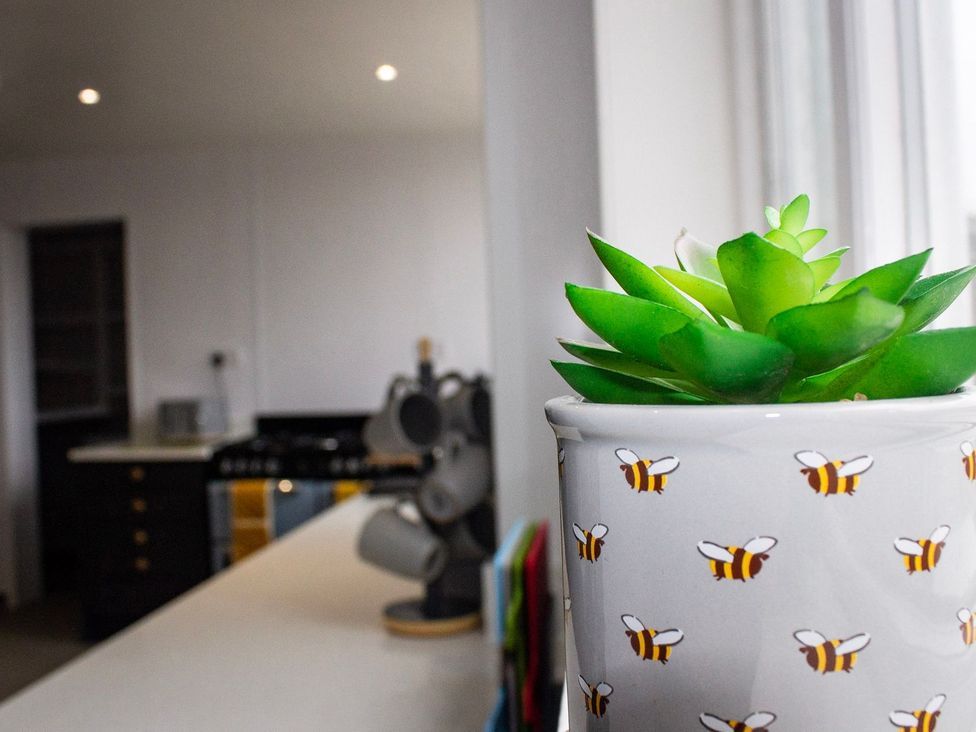 A kitchen with a plant on the countertop at Crannoch Self Catering Buckie