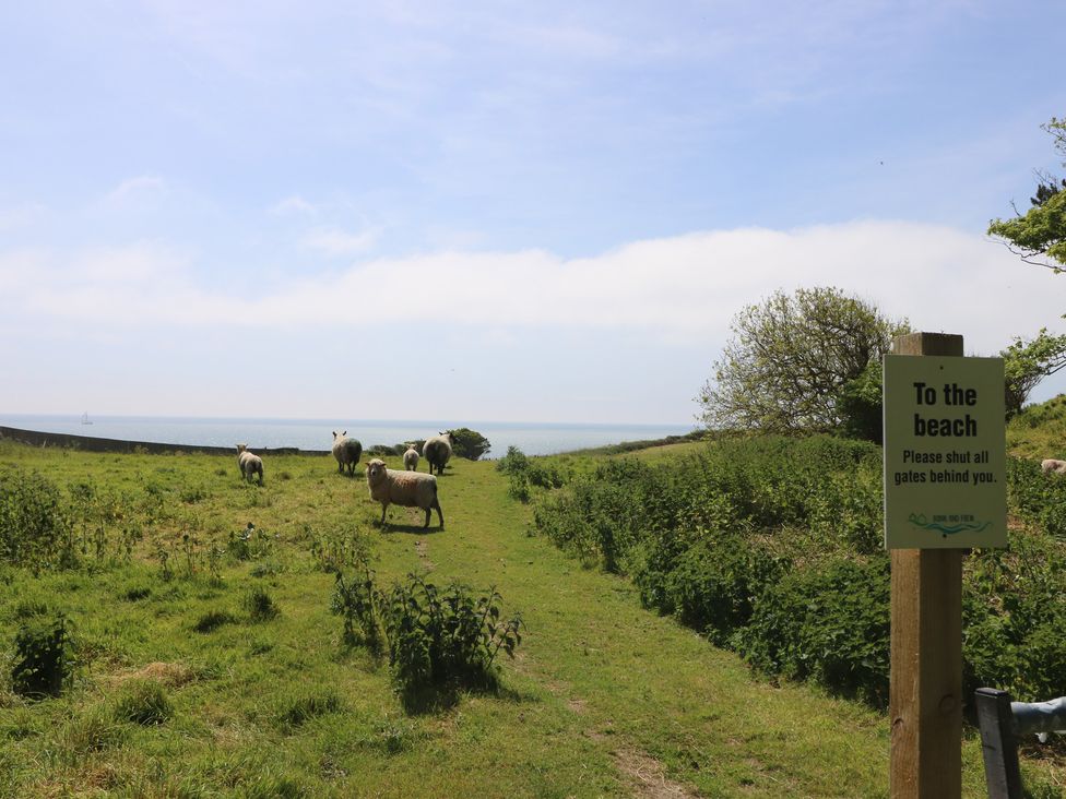 A path leading to the beach with sheep and an ocean view at Guildford Farmhouse in Ryde