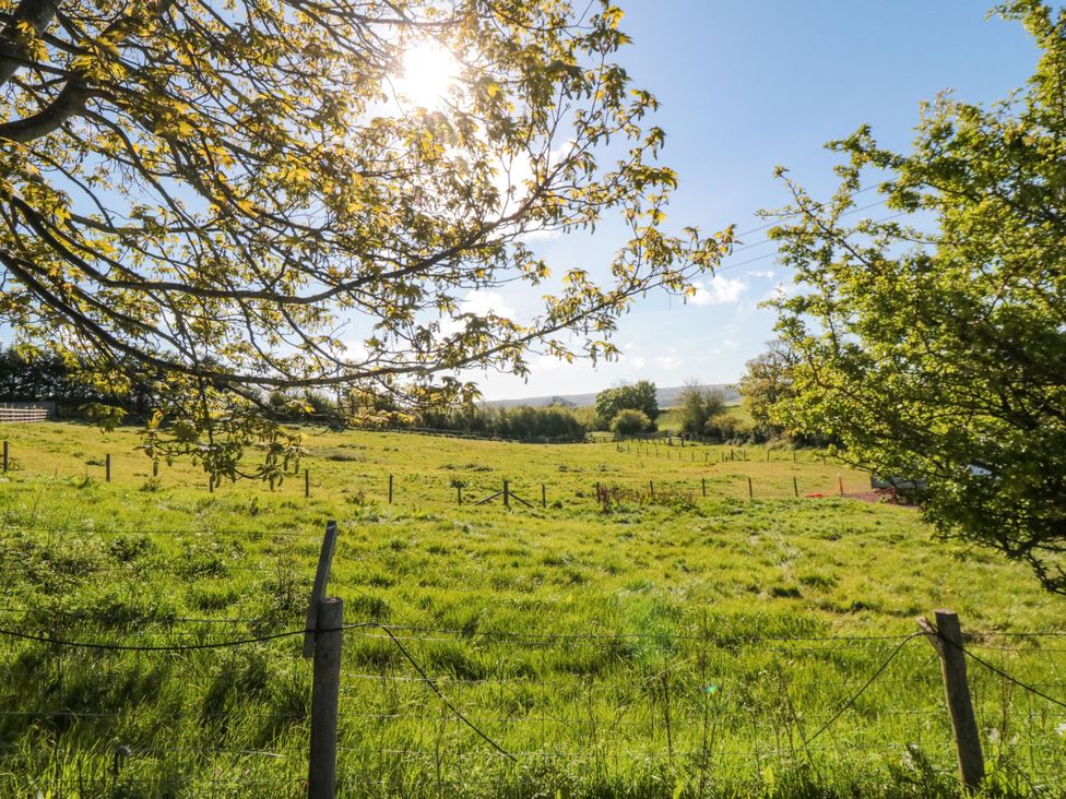 A field with trees and a fence at Aspen Lodge in Whitby