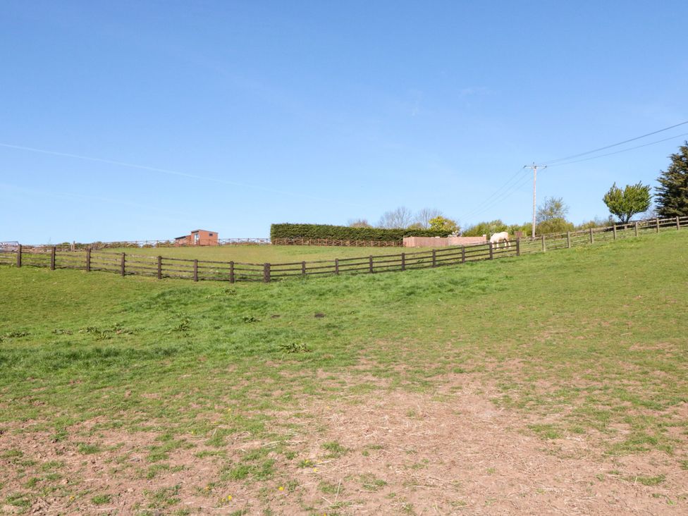 An outdoor field with a fence and a shed at Aspen Lodge in Whitby