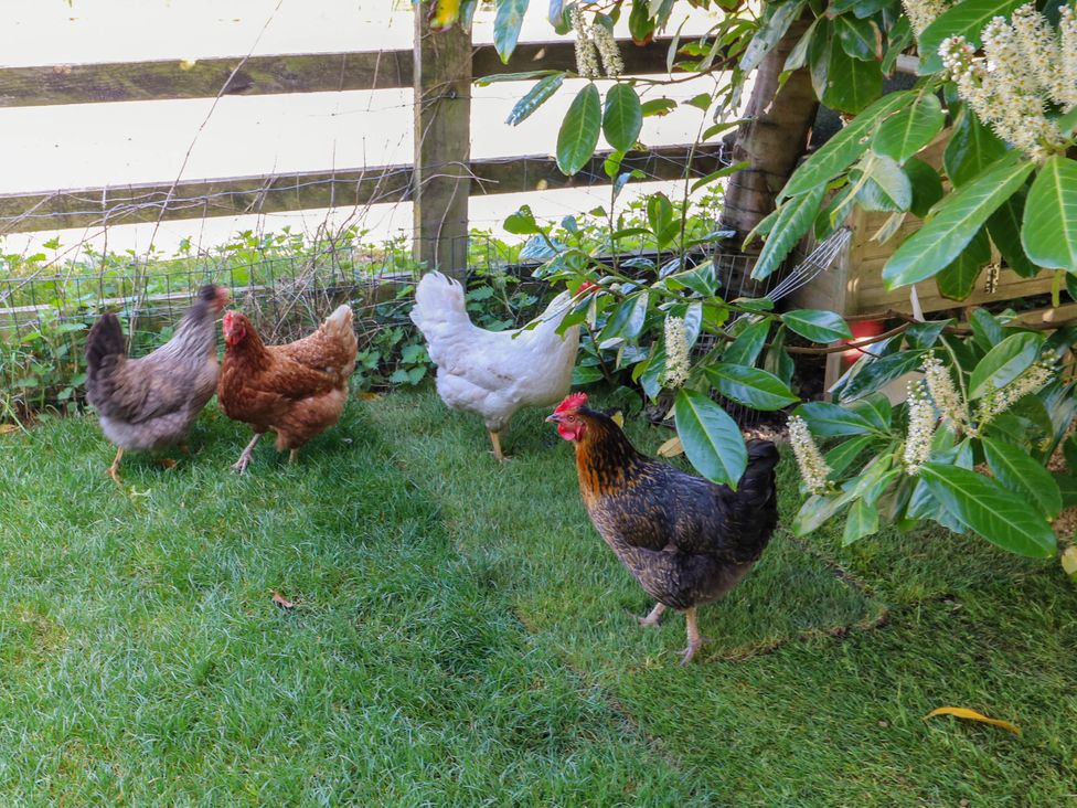 Pule Hill Farm - Peak District & Derbyshire - 1158388 - thumbnail photo 46