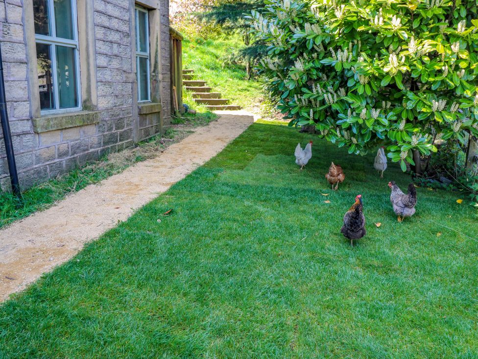 Pule Hill Farm - Peak District & Derbyshire - 1158388 - thumbnail photo 47