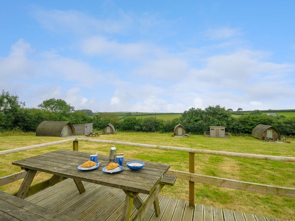 Hen House @ Penbugle Organic Farm - Cornwall - 1158415 - thumbnail photo 8