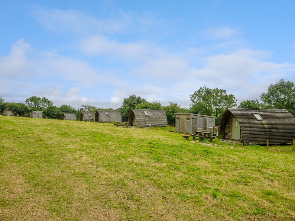 Badger Set @ Penbugle Organic Farm - Cornwall - 1158430 - thumbnail photo 10