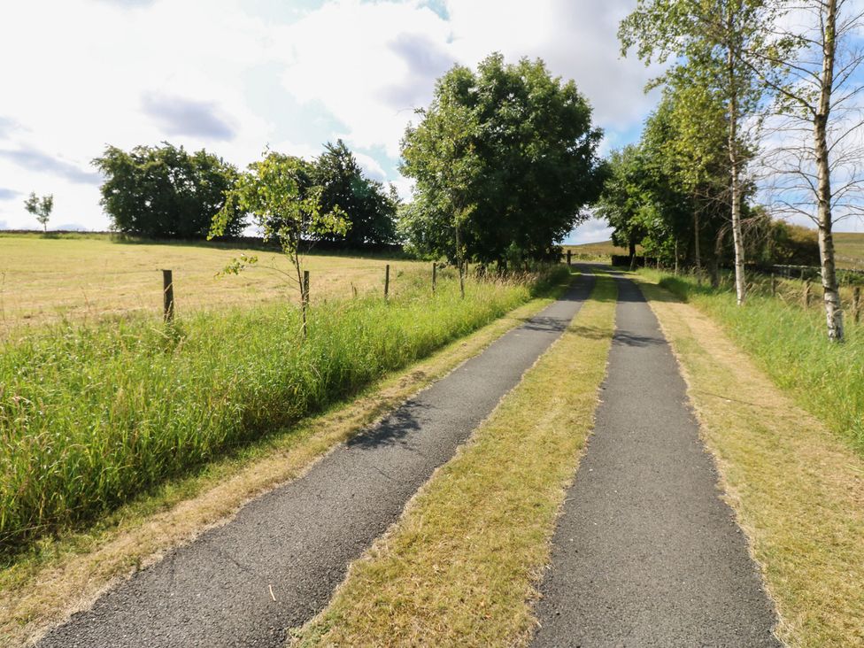 A road bordered by grass and trees at Middlefell View Cottage in Alston