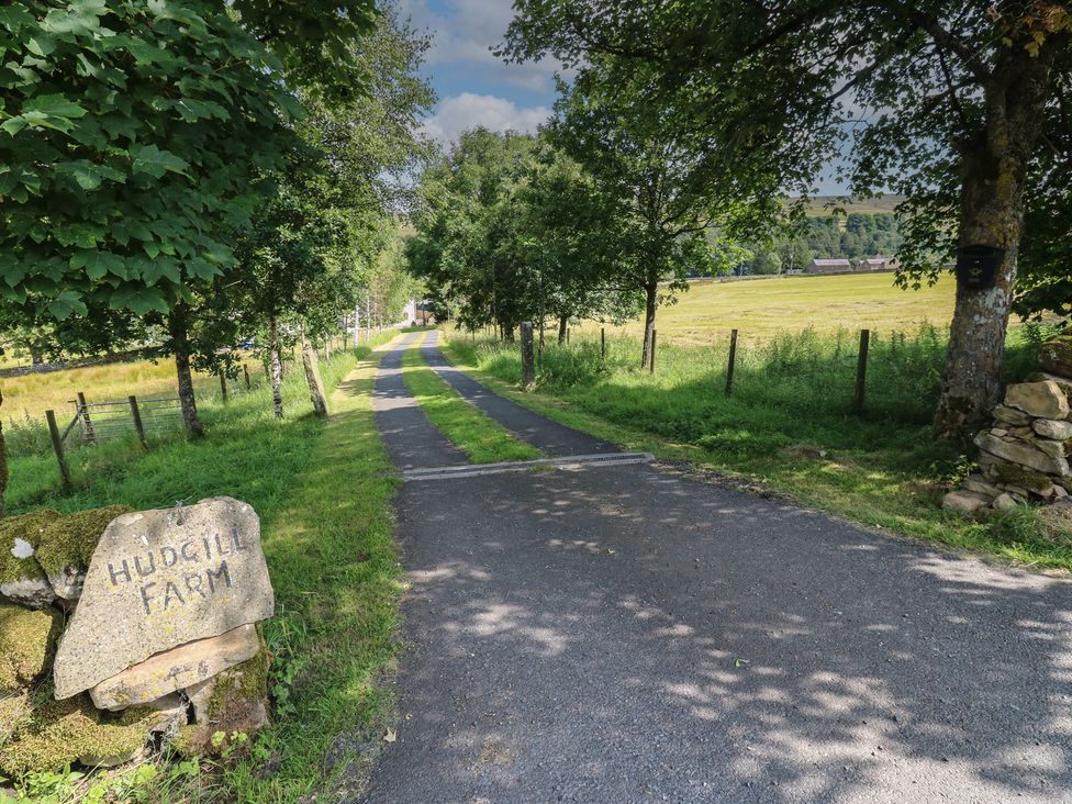 A road leading to Hudgill Farm surrounded by trees and fields at Wellhope View Cottage Alston