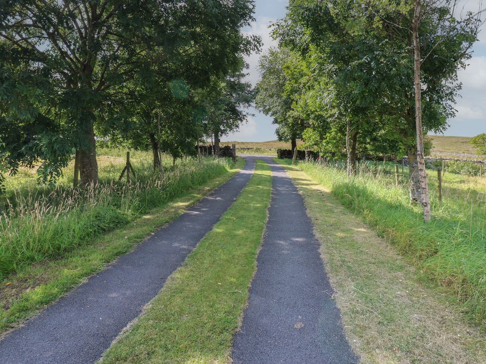 A dirt path leading through trees at Wellhope View Cottage in Alston