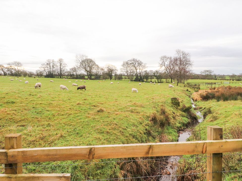 Apple Tree Cottage - Lake District - 1158586 - thumbnail photo 41