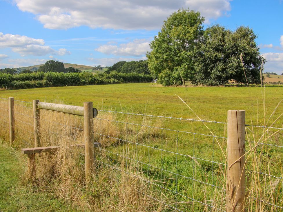 Rose Cottage - Herefordshire - 1158594 - thumbnail photo 21